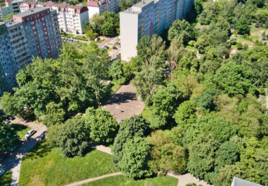Działania Spółdzielni w 2024