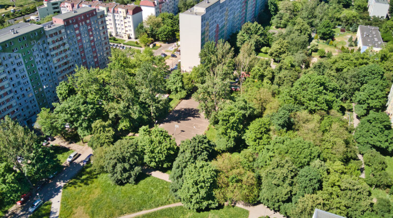 Działania Spółdzielni w 2024