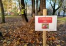 Skradziono domki dla jeży!